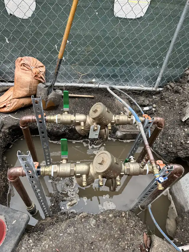 Double backflow preventer assembly mounted on strut with copper piping