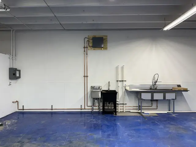 Copper supply lines, drain stacks and sinks installed along a finished wall